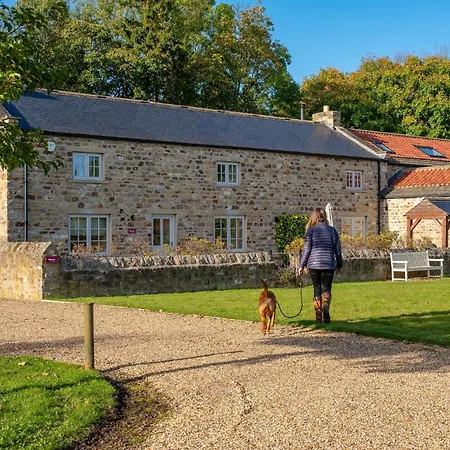 Henry Richmond (North Yorkshire)